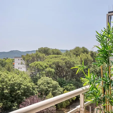 Apartment Grand T2 Lumineux Et Climatise Avec Balcon